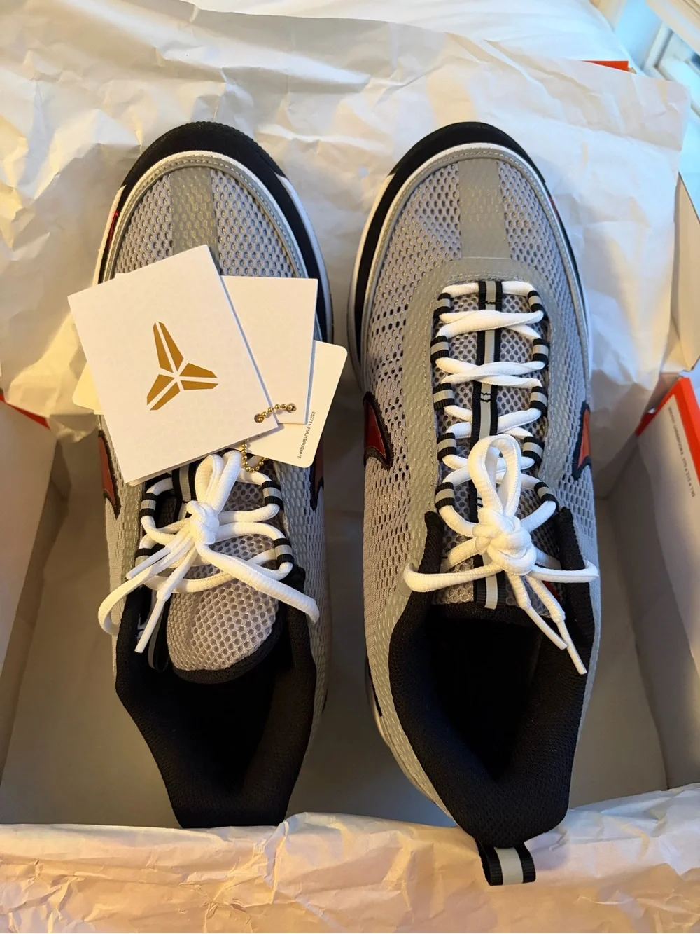 Book 2 SP metallic shoes